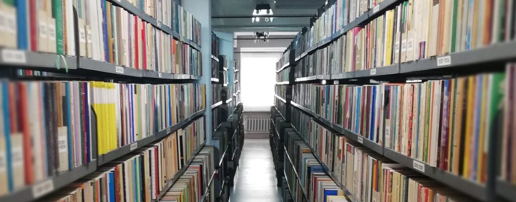 Fotografia przestawia magazyn książek